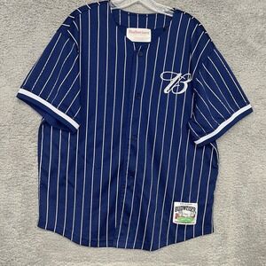 Budweiser Beer x Pacsun Jersey Men's Size‎ L Blue Baseball Team Embroidered #76